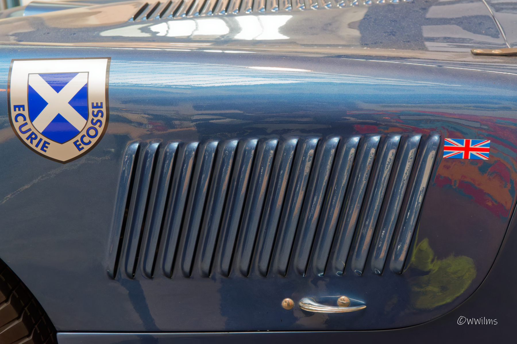 DSC_5650_DxO