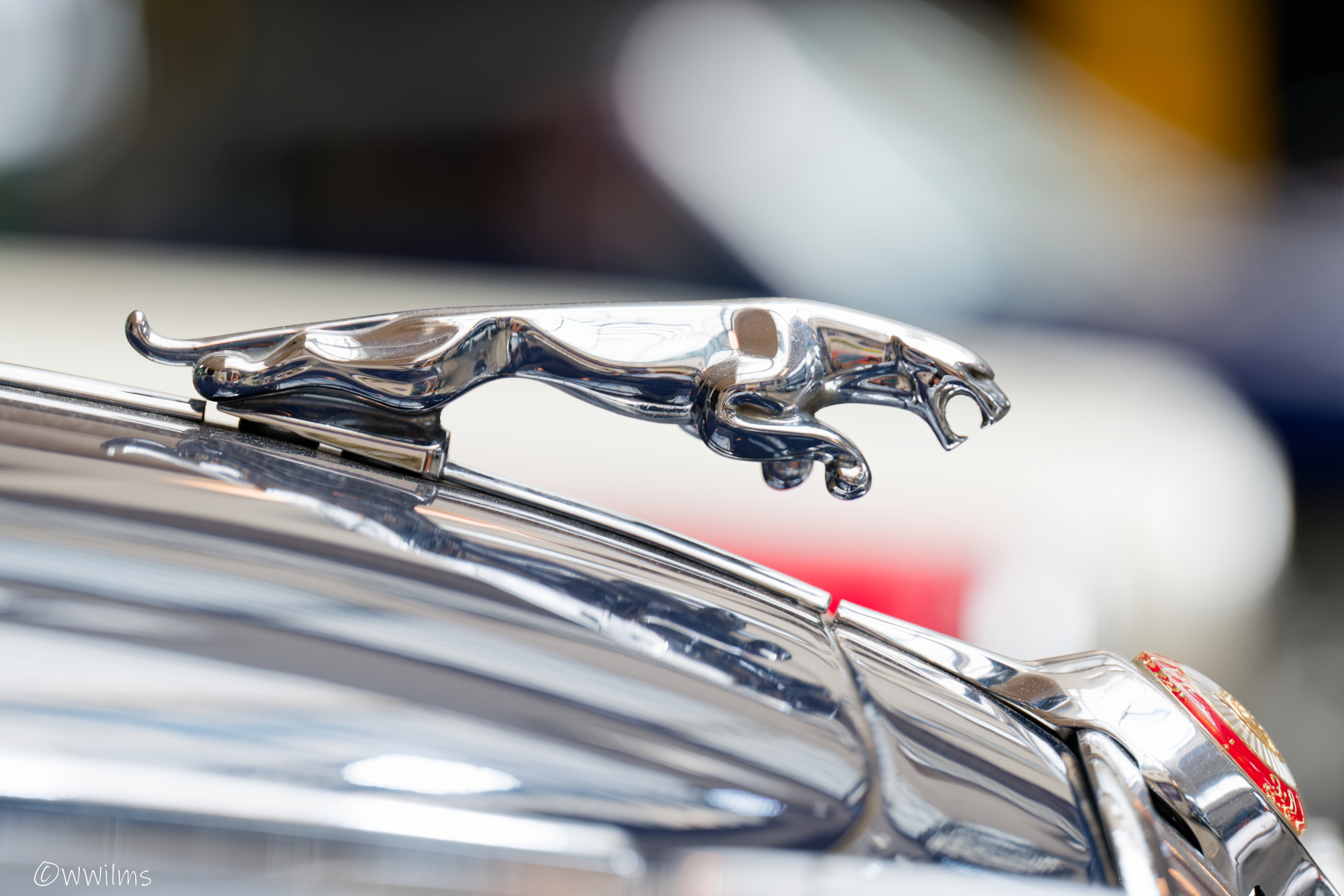 DSC_5687_DxO