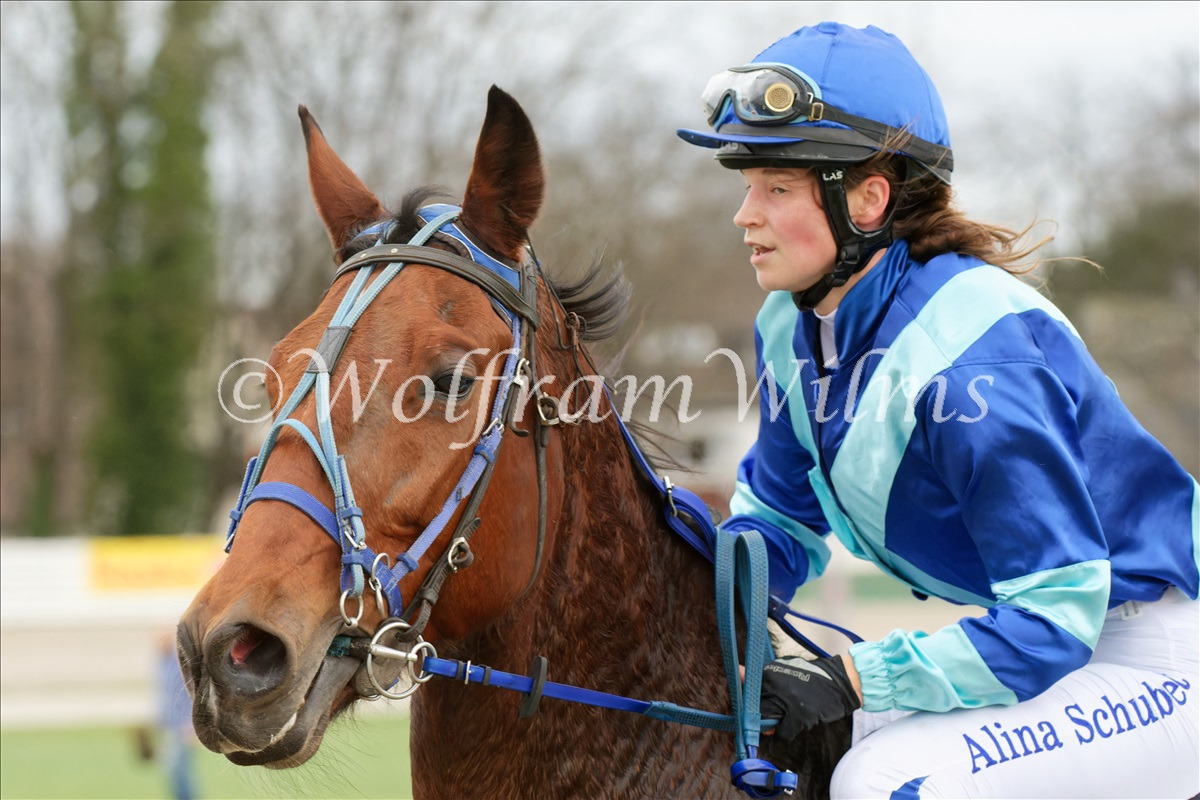 Adieu DinTrab