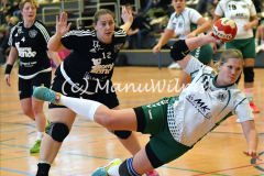 Handball