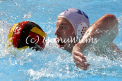 Wasserball