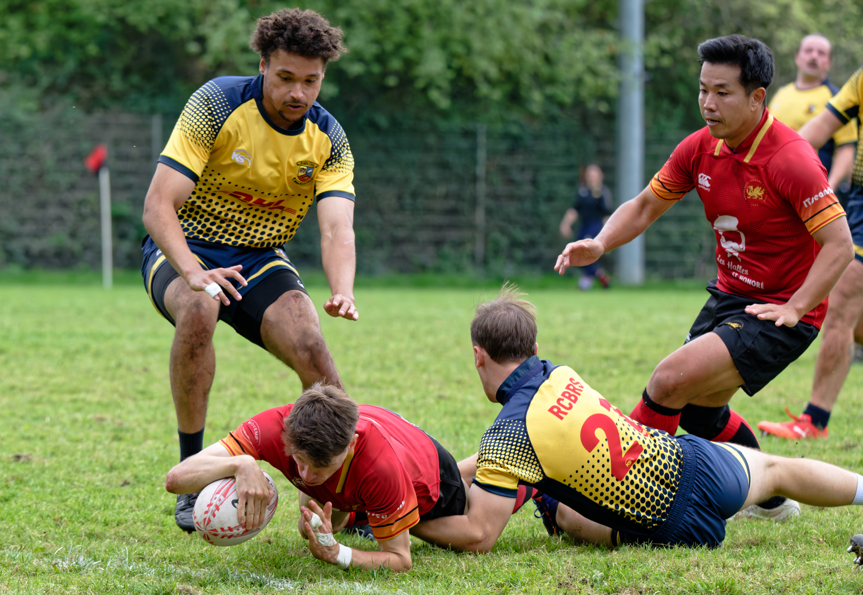 DSC_4620_DxO