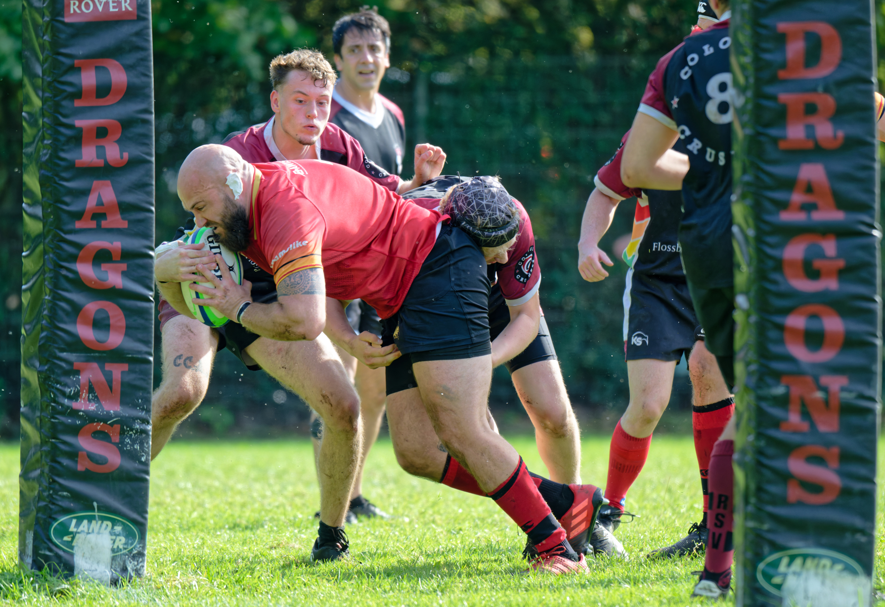 DSC_7820_DxO