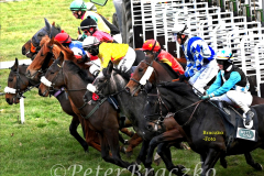 Galopp am 26. Dezember 2021 beim Rennclub Mülheim
