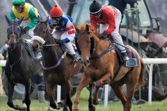 Galopp am 26. Dezember 2021 beim Rennclub Mülheim