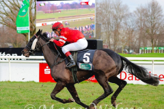 Galopp am 26. Dezember 2021 beim Rennclub Mülheim