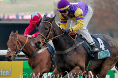Galopp am 26. Dezember 2021 beim Rennclub Mülheim