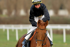 Galopp am 26. Dezember 2021 beim Rennclub Mülheim