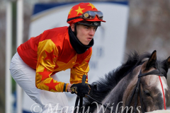 Galopp am 26. Dezember 2021 beim Rennclub Mülheim