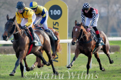 Galopp am 26. Dezember 2021 beim Rennclub Mülheim