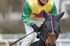 Galopp am 26. Dezember 2021 beim Rennclub Mülheim