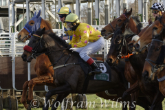 Galopp am 26. Dezember 2021 beim Rennclub Mülheim