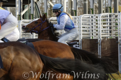 Galopp am 26. Dezember 2021 beim Rennclub Mülheim