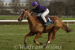 Galopp am 26. Dezember 2021 beim Rennclub Mülheim