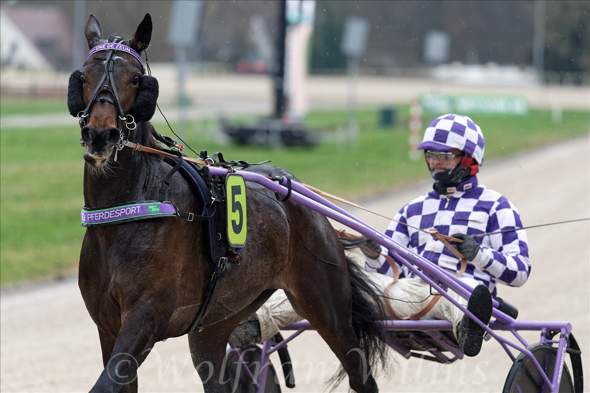 GelsenTrabPark 18. Februar 2024 GelsenTrabPark 18. Februar 2024