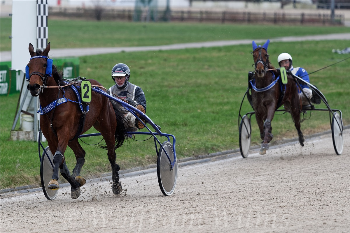 GelsenTrabPark 18. Februar 2024 GelsenTrabPark 18. Februar 2024