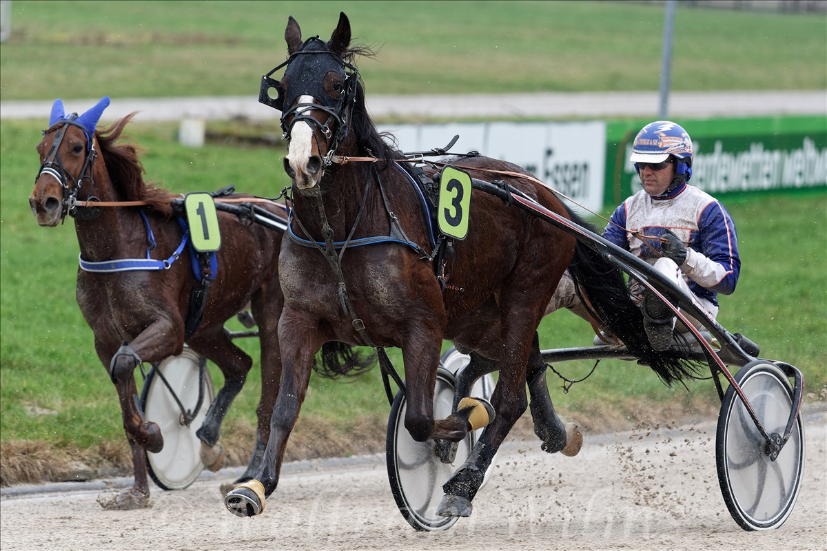 GelsenTrabPark 18. Februar 2024 GelsenTrabPark 18. Februar 2024
