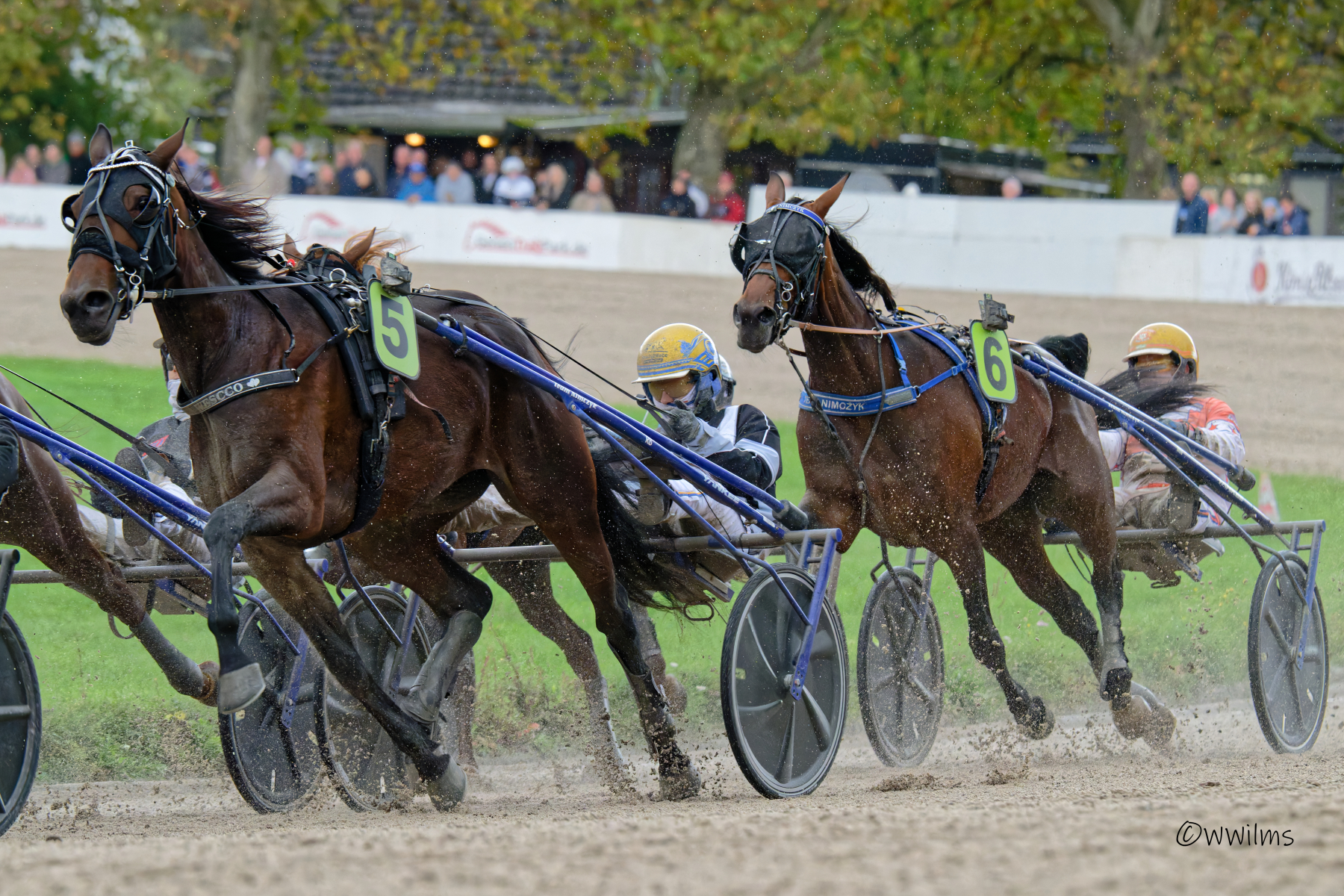DSC_3345_DxO