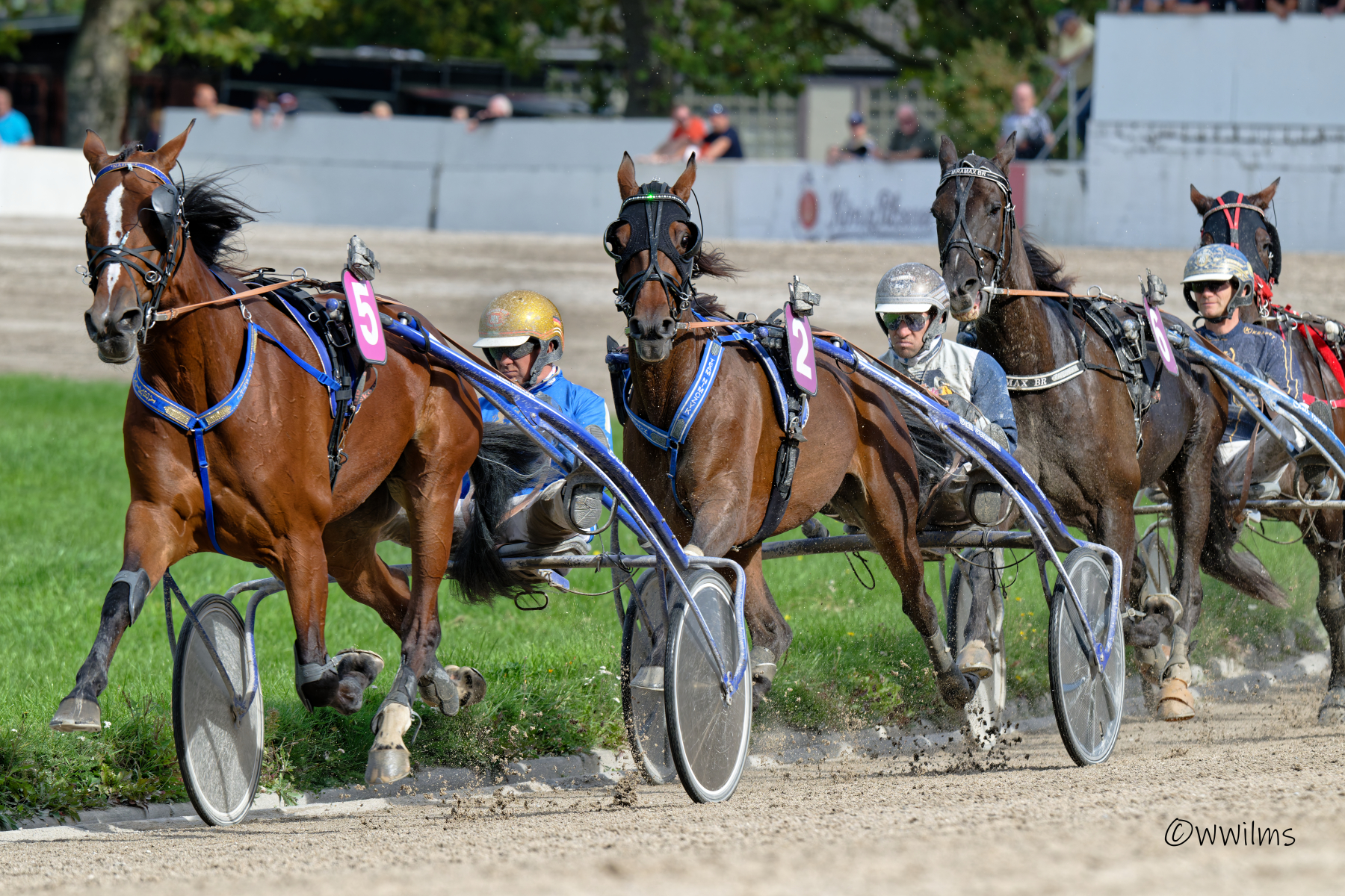 DSC_6176_DxO