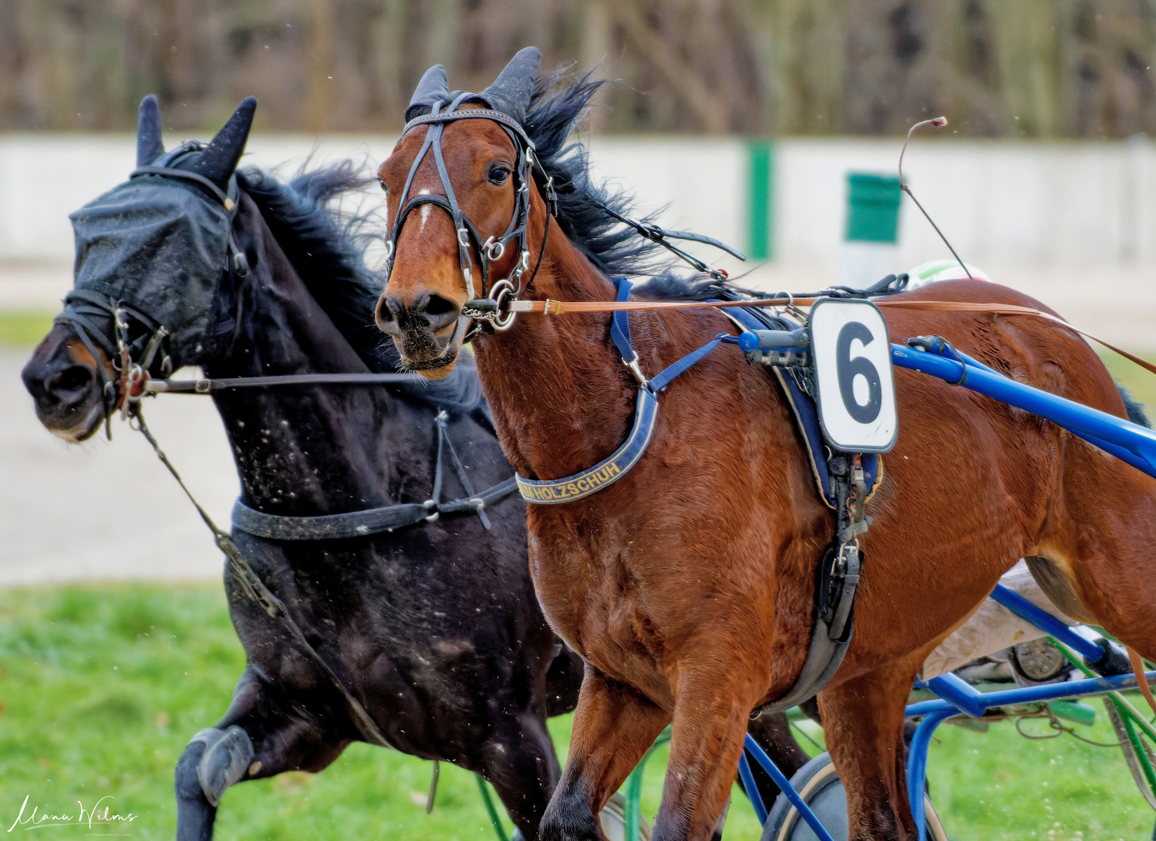 GelsenTrabPark 7. Januar 2024 GelsenTrabPark 7. Januar 2024