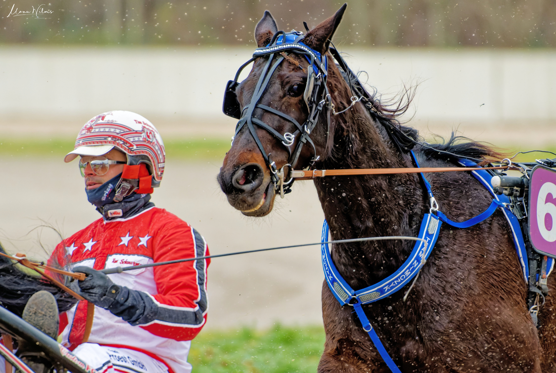 GelsenTrabPark 7. Januar 2024 GelsenTrabPark 7. Januar 2024