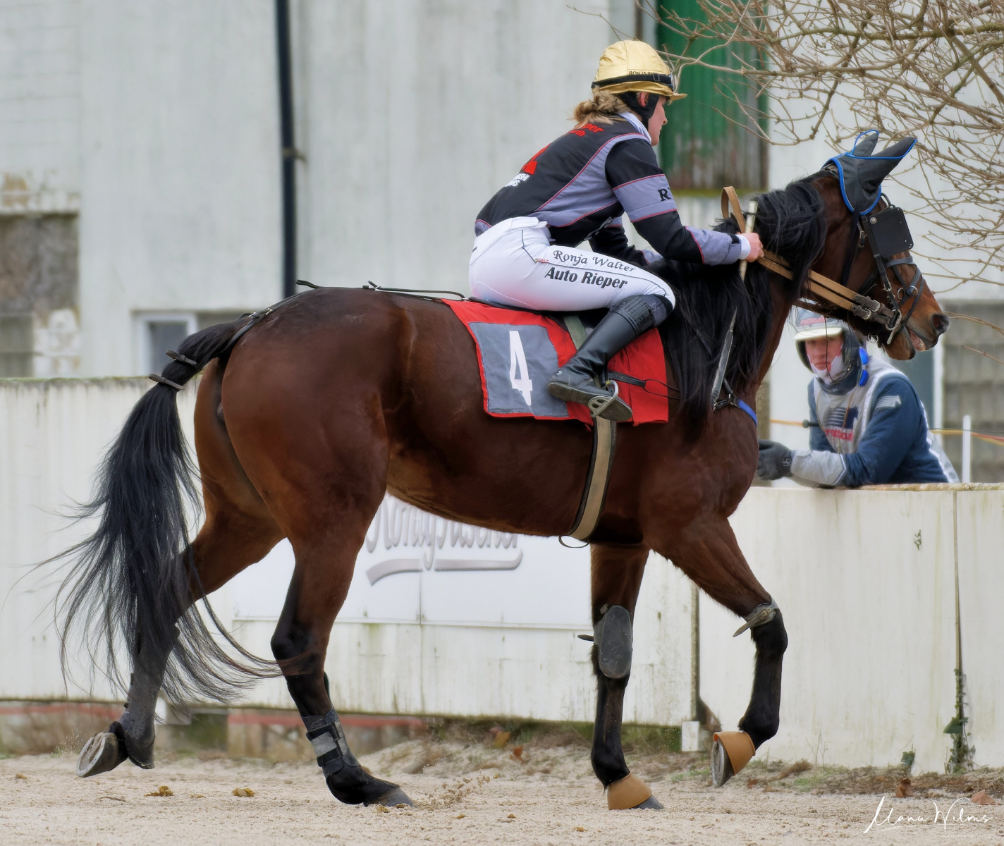 GelsenTrabPark 7. Januar 2024 GelsenTrabPark 7. Januar 2024