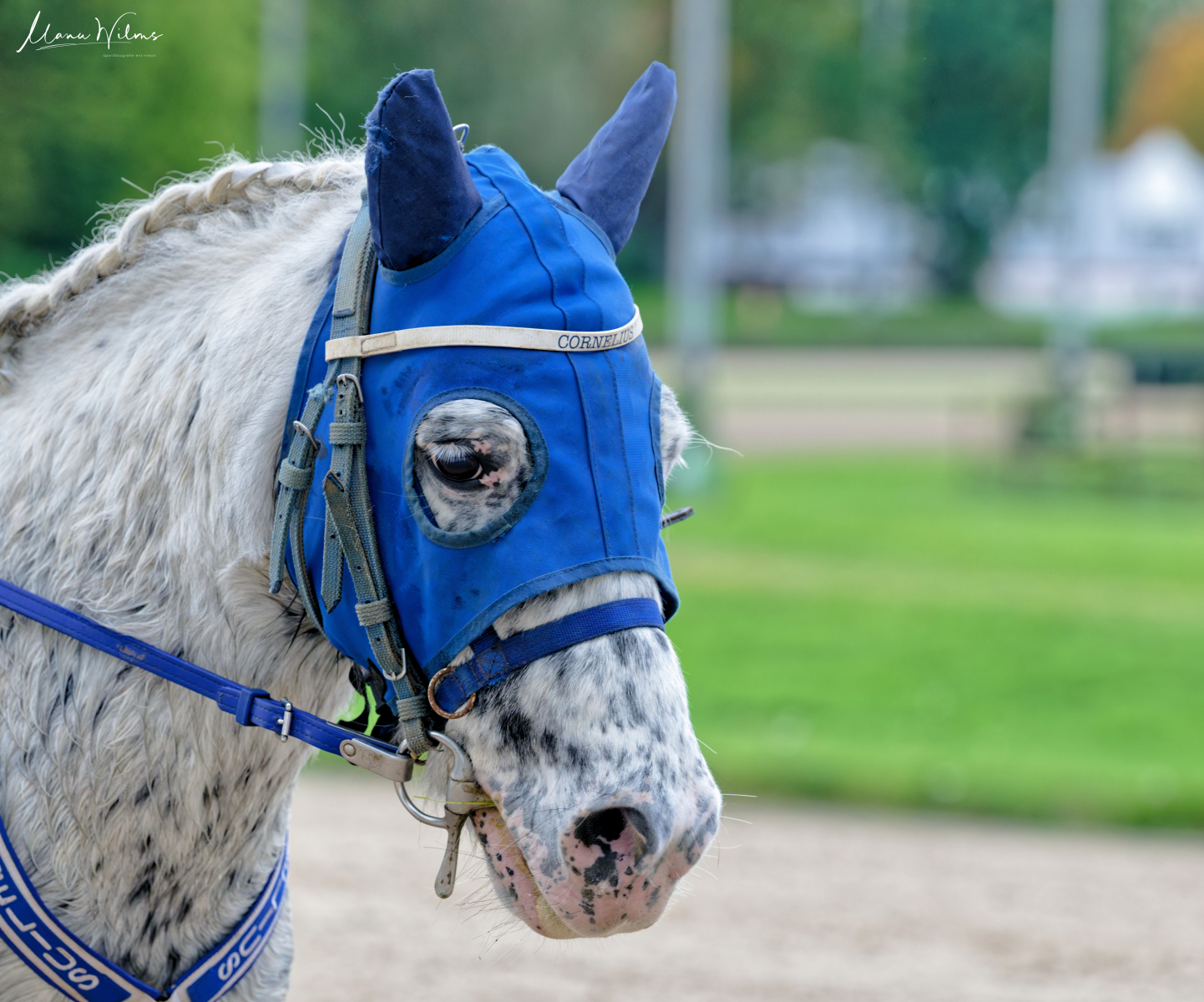 MAN_4153_DxO