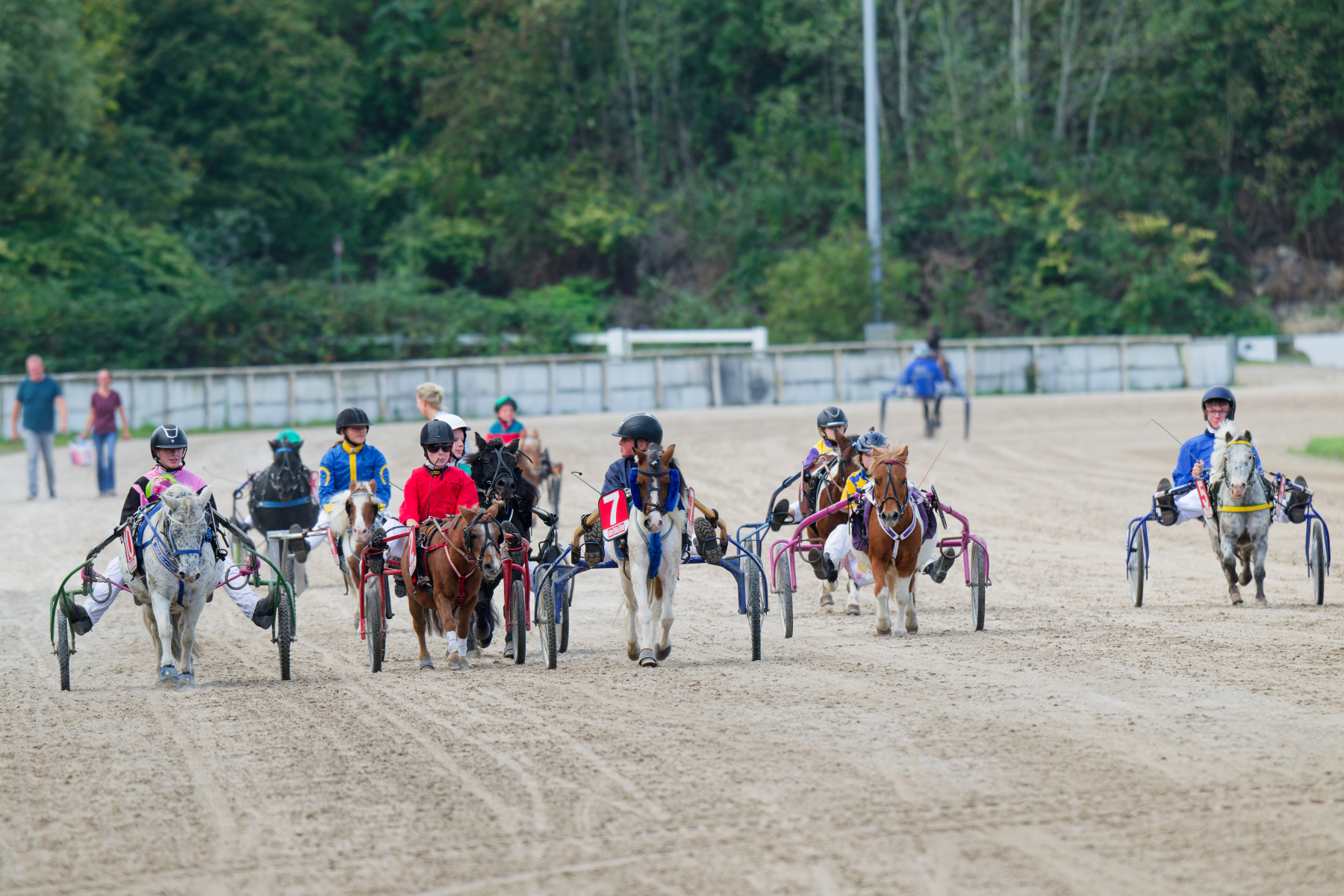 DSC_6086_DxO