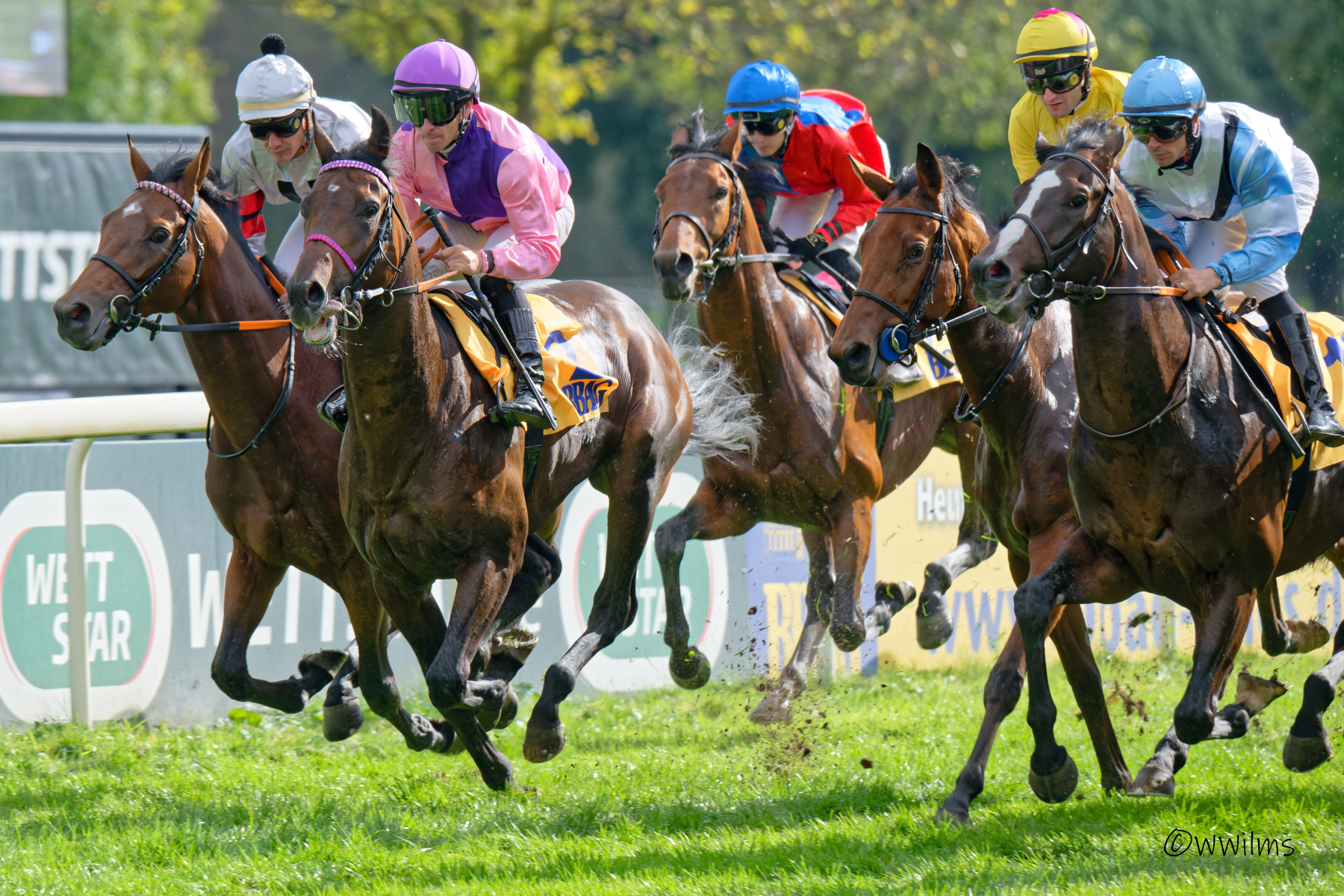 DSC_2019_DxO