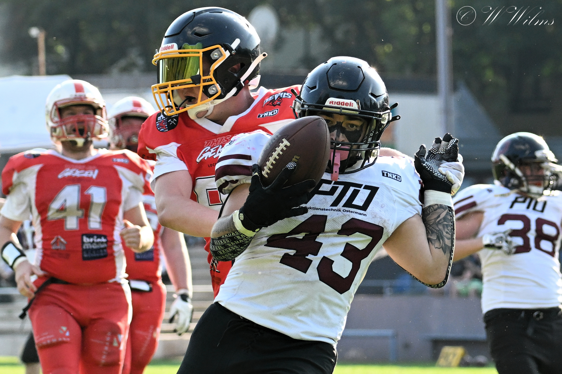 AFC Gelsenkirchen Devils e.V.    21. September 2024 AFC Gelsenkirchen Devils e.V.    21. September 2024