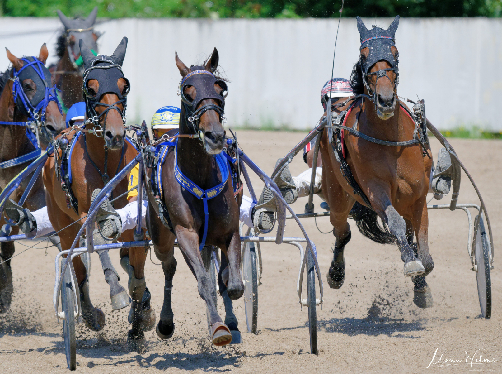 GelsenTrabPark    28. Juli 2024 GelsenTrabPark    28. Juli 2024
