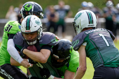 Shamrocks vs. Black Barons