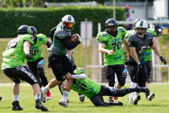 Shamrocks vs. Black Barons