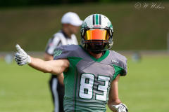 Shamrocks vs. Black Barons