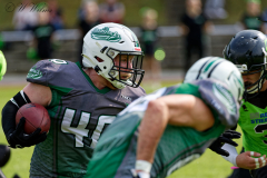 Shamrocks vs. Black Barons