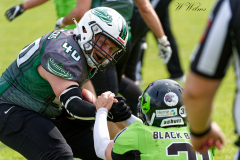 Shamrocks vs. Black Barons