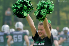 Shamrocks vs. Black Barons