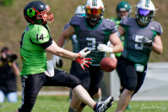 Shamrocks vs. Black Barons