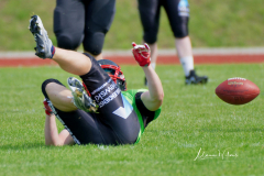 Shamrocks vs. Black Barons