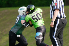 Shamrocks vs. Black Barons