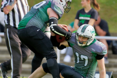 Shamrocks vs. Black Barons