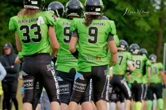 Shamrocks vs. Black Barons