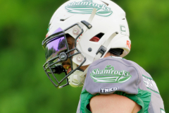 Shamrocks vs. Black Barons