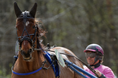 Osterrenntag Sonsbeck 2024