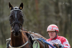 Osterrenntag Sonsbeck 2024