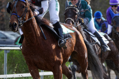 Osterrenntag Sonsbeck 2024