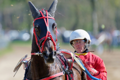 Osterrenntag Sonsbeck 2024