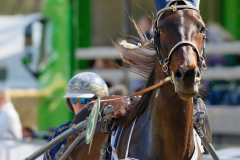 Osterrenntag Sonsbeck 2024