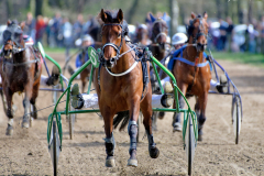Osterrenntag Sonsbeck 2024
