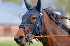 Osterrenntag Sonsbeck 2024